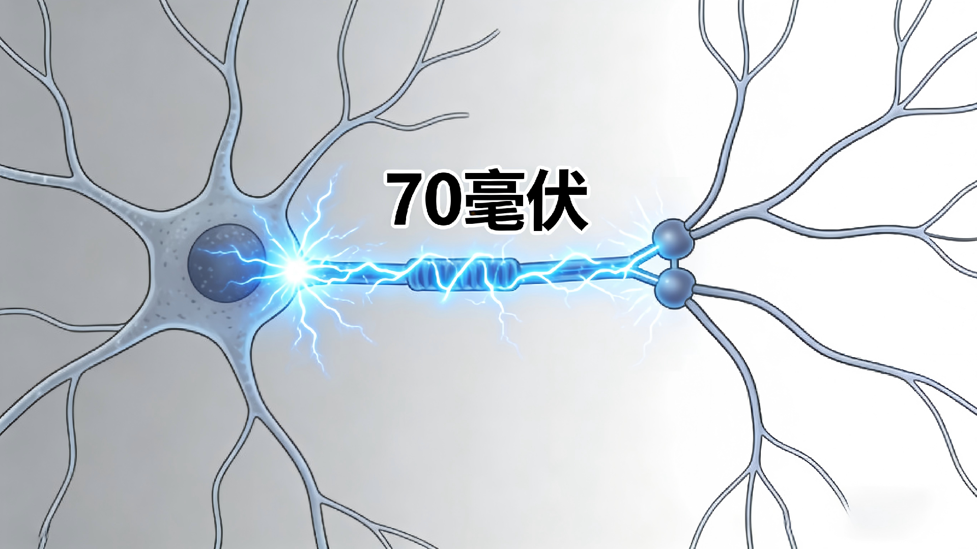 0312-3.png