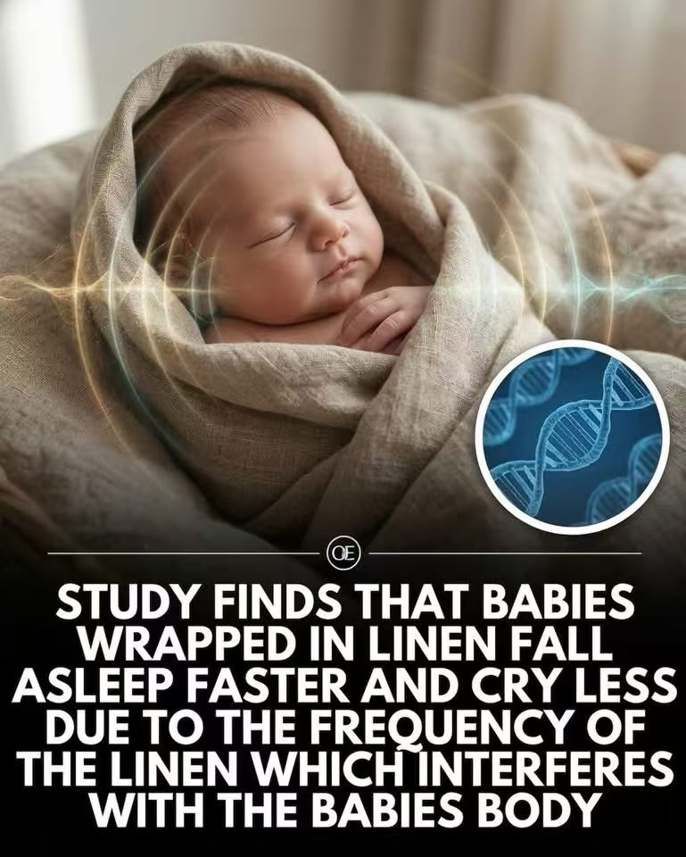 1774428512119152.jpg 18-1.jpg